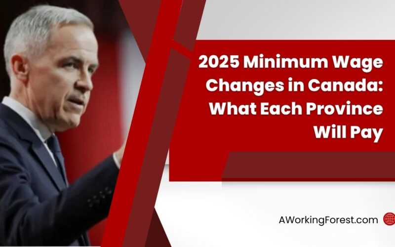 2025 Minimum Wage Changes in Canada: What Each Province Will Pay