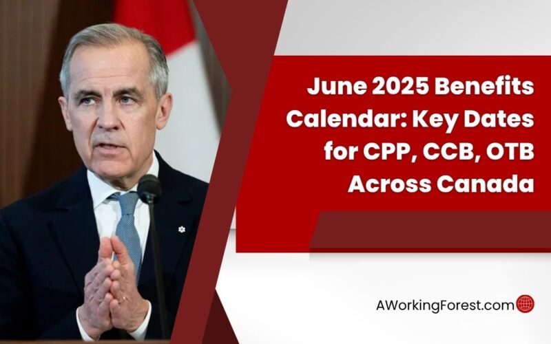 June 2025 Benefits Calendar: Key Dates for CPP, CCB, OTB Across Canada